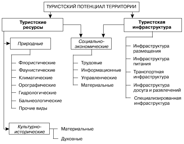 Структура туристского потенциала территории