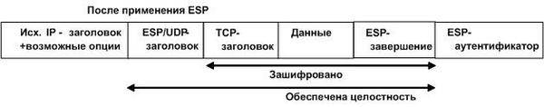 Вложенность заголовков после применения ESP в транспортном режиме в IPv4