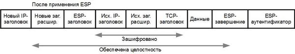 Вложенность заголовков после применения ESP в туннельном режиме в IPv6