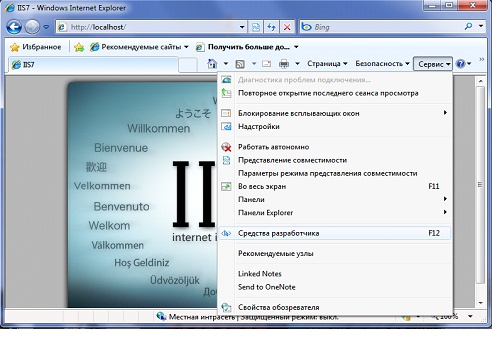 Активирование "Средств разработчика" в IE8