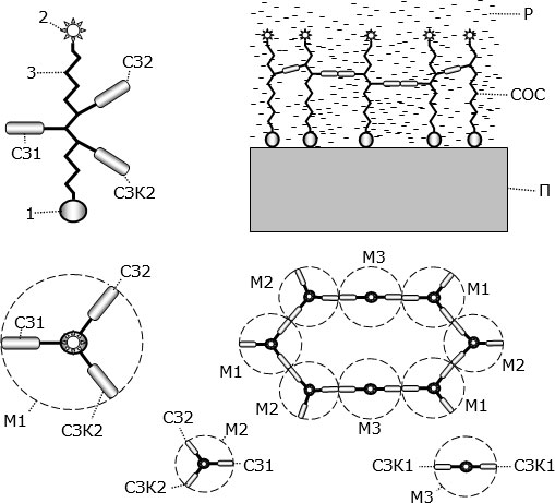Слева – схема «строительного блока» для получения самоорганизованного слоя (СОС), вверху – вид сбоку, внизу – вид в плане. Справа – схематическое изображение СОС, вверху – вид сбоку, внизу – вид в плане. В нижнем ряду – схемы «строительных блоков» типа М2 и М3; П – подложка; Р – раствор молекул