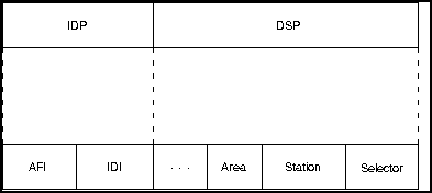 OSI Address Format