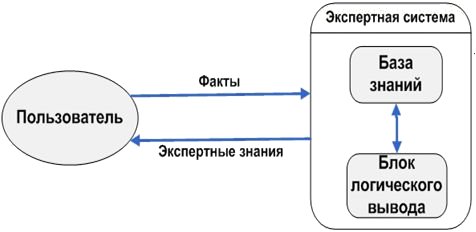 Основные принципы функционирования экспертной системы