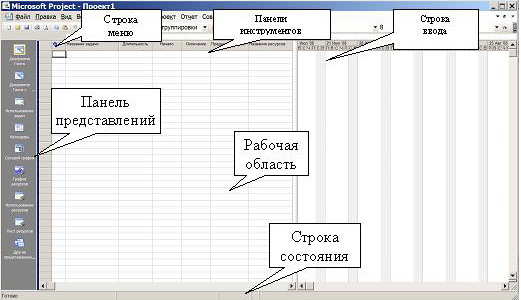  Основные элементы окна Microsoft Project 