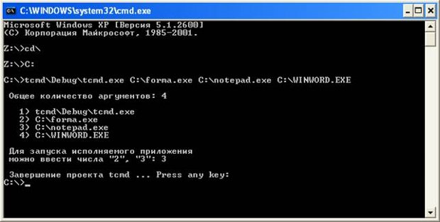 Пример ввода аргументов командной строки операционной системы