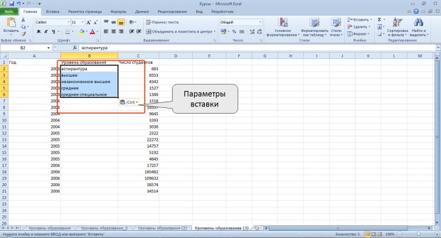 Меню кнопки Параметры вставки