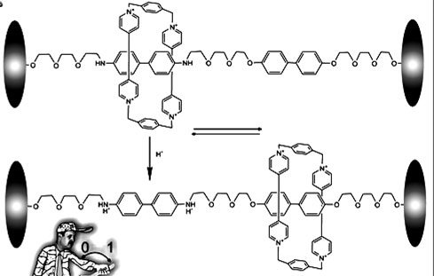 Молекулярный элемент памяти – [2]-ротаксан между металлическими электродами. Вверху и внизу – два возможных устойчивых состояния