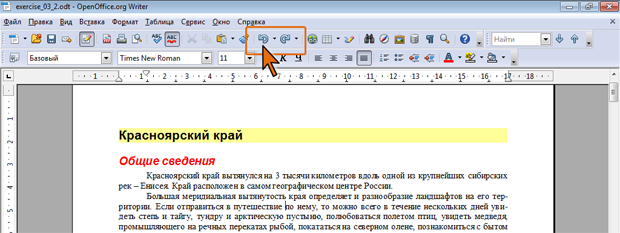 Отмена последнего действия