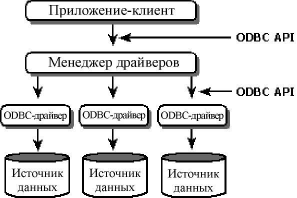 Архитектура ODBC