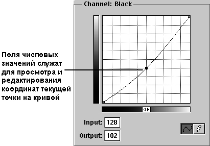 Поля числовых значений