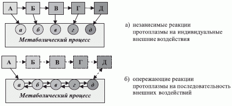 Два типа реакций протоплазмы на последовательность внешних воздействий [25]