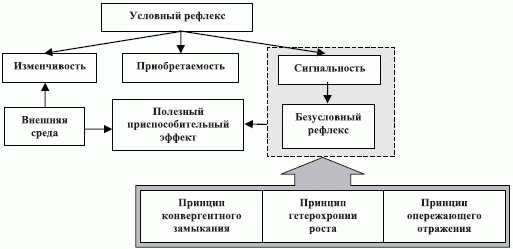 Систематика выработки условных рефлексов