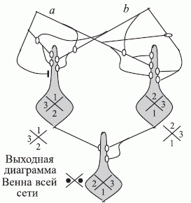 Логически устойчивая сеть Мак-Каллока \delta=2 [65]