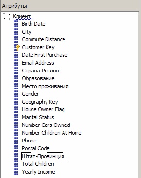  Переименованные атрибуты измерения "Клиент"