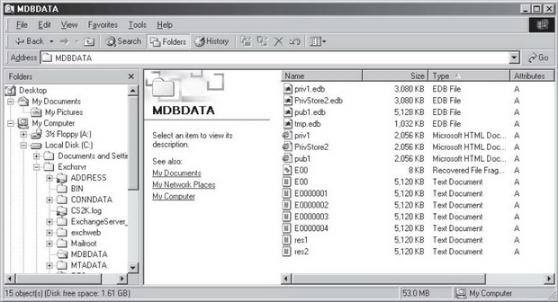 Содержимое папки Mdbdata с установленным для всех файлов битом архивации