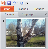 Фотография вставлена в слайд