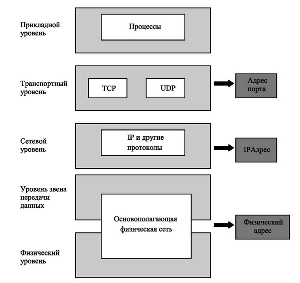 Отношения уровней стека протоколов Интернет и адресов