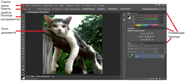 Главное окно программы Photoshop