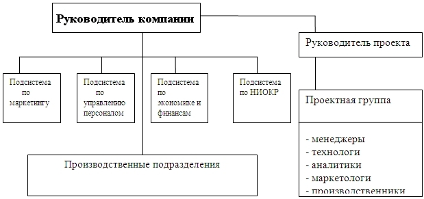 Разновидность проектной структуры управления