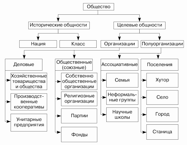 Классификация организаций по функциональным признакам