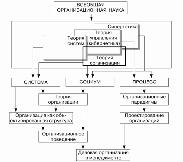 Структура теоретической базы деловой организации