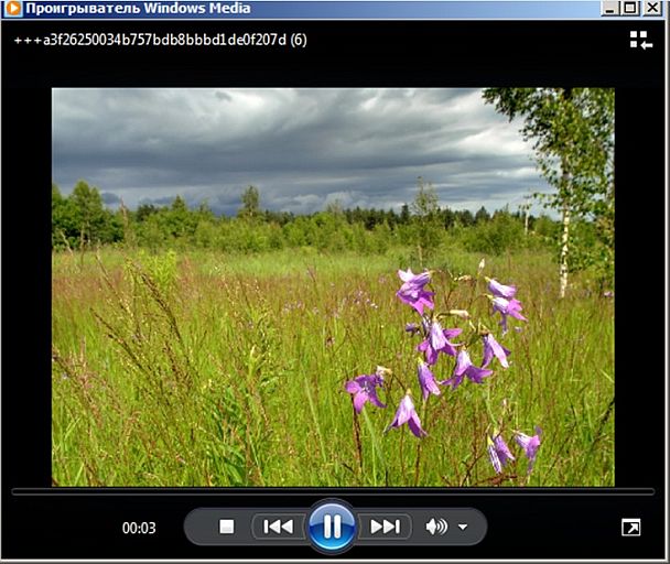 Media Player просматривает изображения на ПК