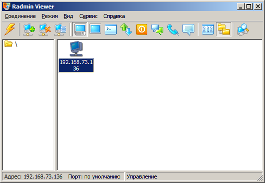 Окно программы Radmin Viewer