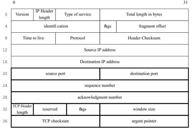 TCP Header with IP header