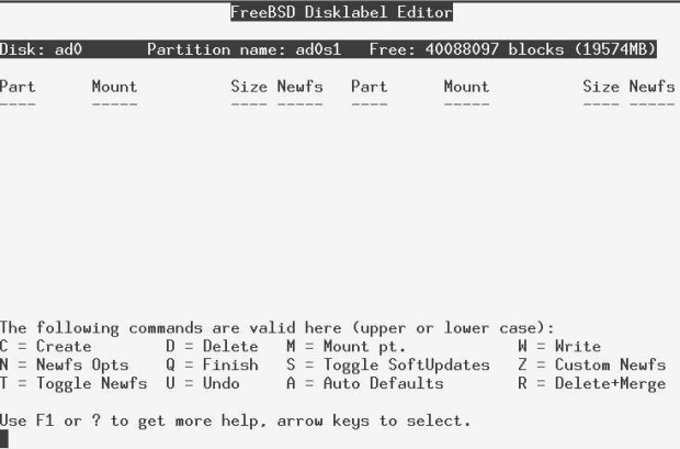 Default file system sizes