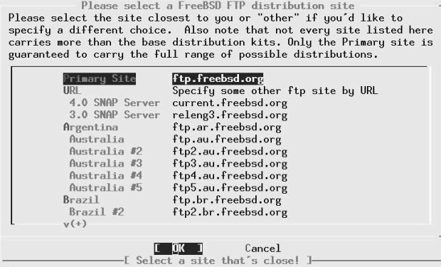 Specifying NFS file system