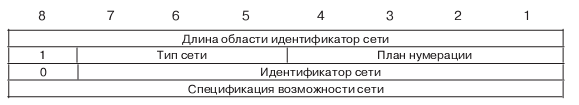 Информационный элемент "Специфические возможности сети"