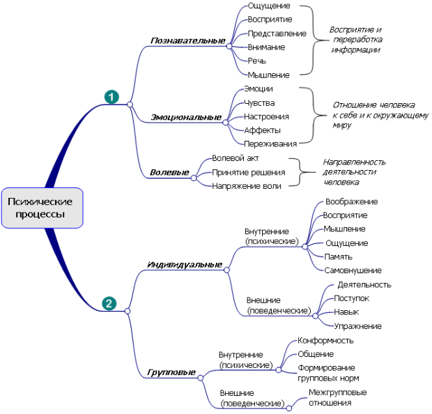 Разновидности психических процессов