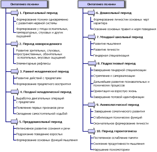 Этапы онтогенеза психики человека