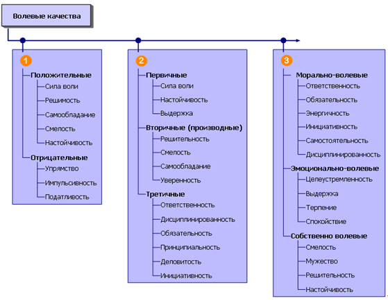 Классификации видов волевых качеств личности