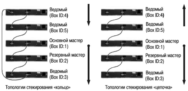 Назначение порядковых номеров в автоматическом режиме