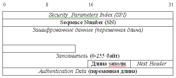 Структура заголовка ESP