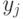 y_j 