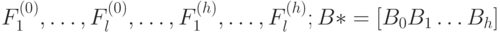 F_1^{(0)}, \dots , F_l^{(0)}, \dots , F_1^{(h)}, \dots , F_l^{(h)}; B*=[B_0 B_1 \dots B_h]