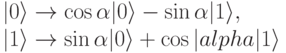 |0\rangle \to \cos \alpha |0\rangle -\sin \alpha |1\rangle ,\\
|1\rangle \to \sin \alpha |0\rangle +\cos |alpha |1\rangle