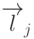 \overrightarrow{l}_j