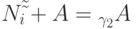 \({{N}}_{{i}} \tilde \tilde  + {{A}} = _{\gamma _{{2}} } {{A}}\)