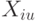 X_{iu}