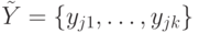 \tilde Y=\{y_{j1}, \dots, y_{jk}\}