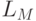  L_M