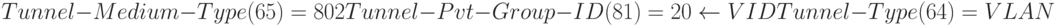 Tunnel-Medium-Type (65) = 802\\Tunnel-Pvt-Group-ID (81) = 20 \gets VID\\
Tunnel-Type (64) = VLAN
