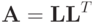 \mathbf{A} = \mathbf{LL}^T