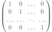 \begin{pmatrix}
									1 & 0 & \dots & 0\cr
									0 & 1 & \dots & 0\cr
									\dots  & \dots & \ddots & \dots \cr
									0 & 0 & \dots & 1
									\end{pmatrix}