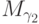 M_{\gamma_2}
