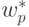 w_p^* 