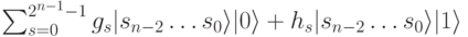 \sum_{s=0}^{2^{n-1}-1}g_s|s_{n-2}\dots s_0 \rangle|0 \rangle+h_s|s_{n-2} \dots s_0 \rangle|1 \rangle